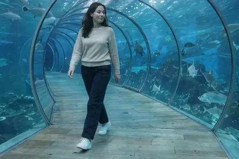 Actual Aisma result: The same walk inside an underwater glass tunnel with turquoise sea, fish and rays outside.